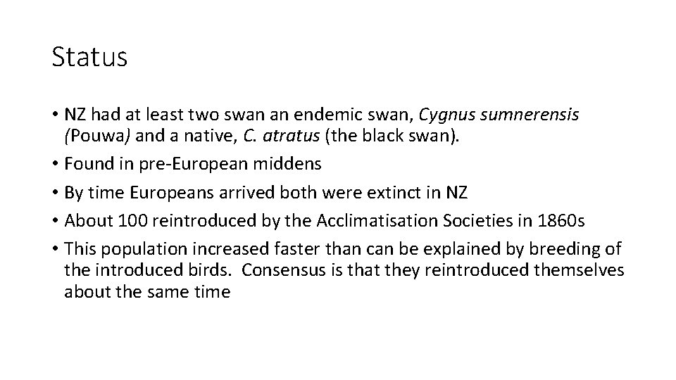 Status • NZ had at least two swan an endemic swan, Cygnus sumnerensis (Pouwa)