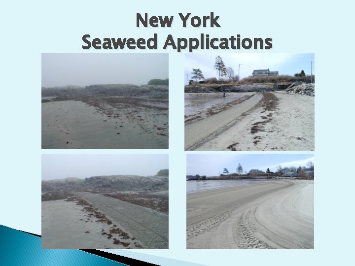 New York Seaweed Applications 