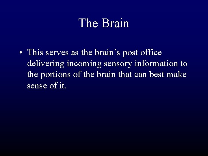The Brain • This serves as the brain’s post office delivering incoming sensory information