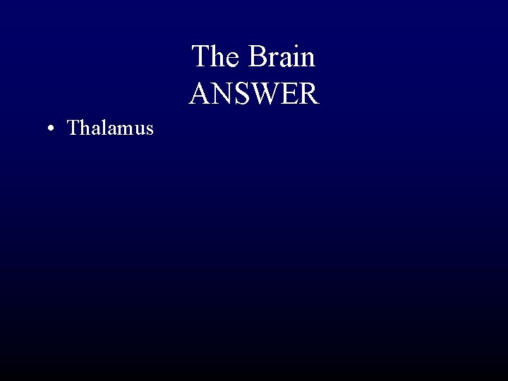 The Brain ANSWER • Thalamus 