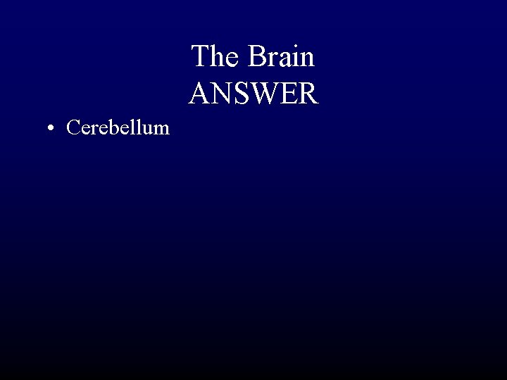 The Brain ANSWER • Cerebellum 