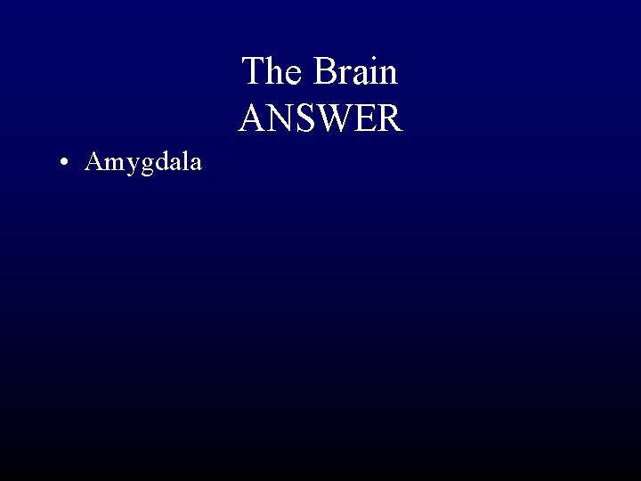 The Brain ANSWER • Amygdala 