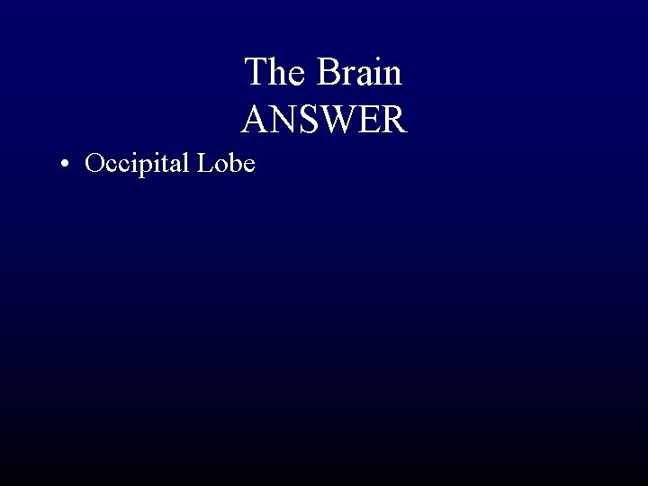 The Brain ANSWER • Occipital Lobe 