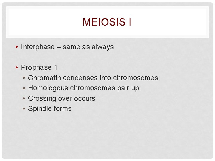 MEIOSIS I • Interphase – same as always • Prophase 1 • Chromatin condenses