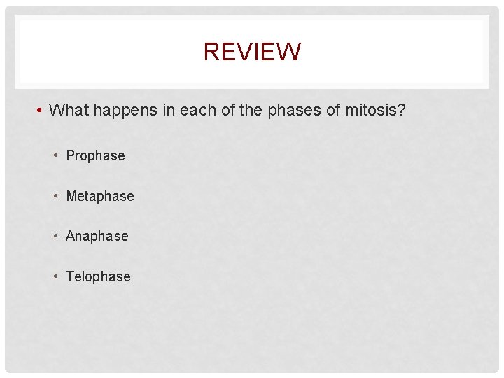 REVIEW • What happens in each of the phases of mitosis? • Prophase •