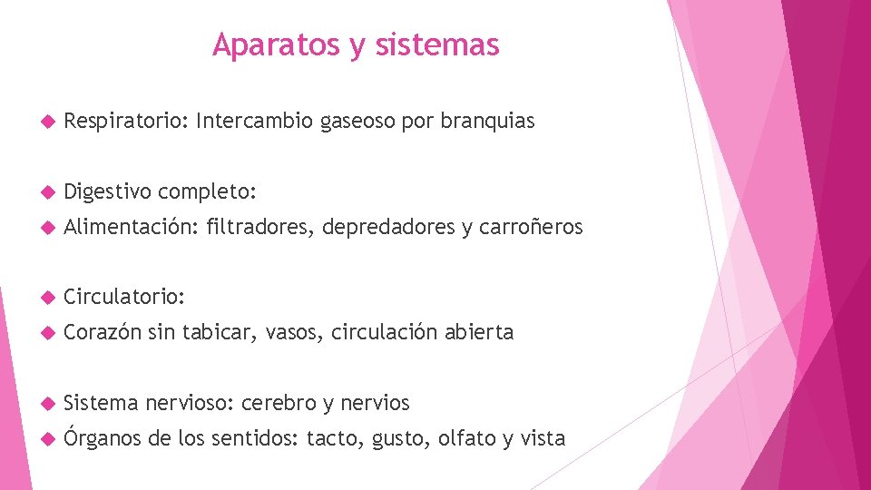 Aparatos y sistemas Respiratorio: Intercambio gaseoso por branquias Digestivo completo: Alimentación: filtradores, depredadores y