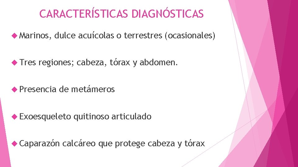 CARACTERÍSTICAS DIAGNÓSTICAS Marinos, Tres dulce acuícolas o terrestres (ocasionales) regiones; cabeza, tórax y abdomen.