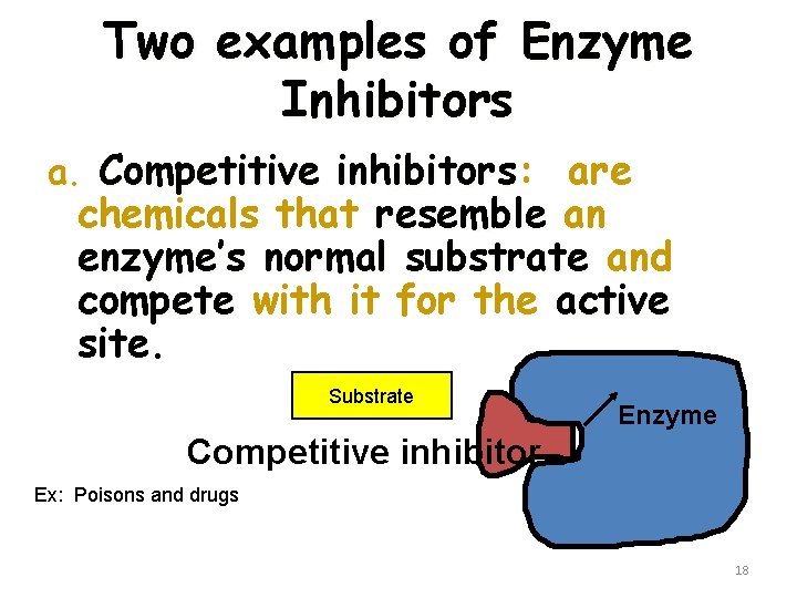 Two examples of Enzyme Inhibitors a. Competitive inhibitors: are chemicals that resemble an enzyme’s
