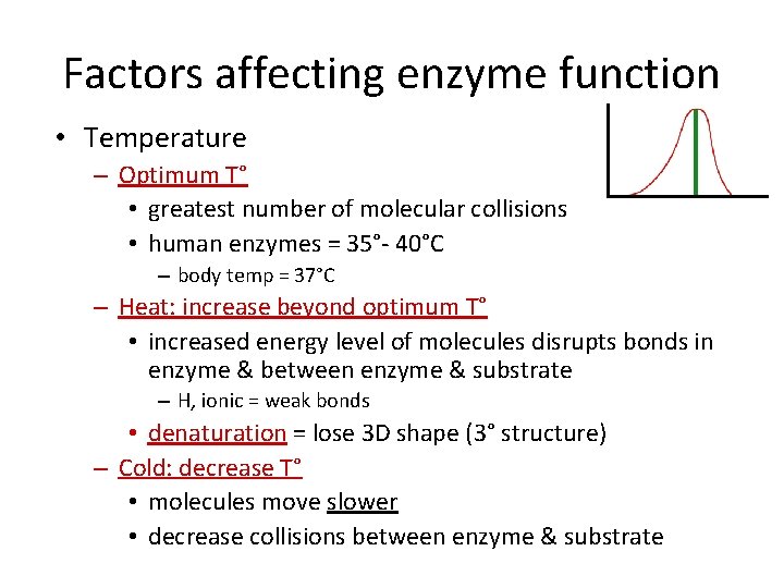 Factors affecting enzyme function • Temperature – Optimum T° • greatest number of molecular