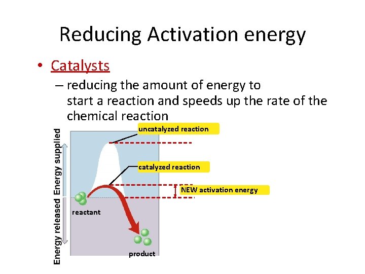 Reducing Activation energy • Catalysts – reducing the amount of energy to start a