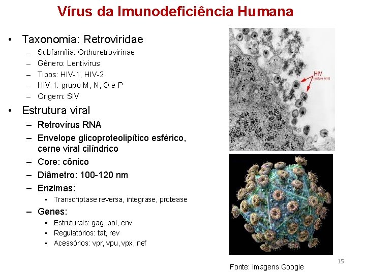 Vírus da Imunodeficiência Humana • Taxonomia: Retroviridae – – – Subfamília: Orthoretrovirinae Gênero: Lentivirus