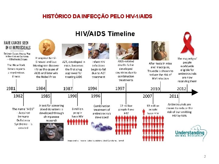 HISTÓRICO DA INFECÇÃO PELO HIV-1/AIDS 2 