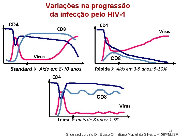 Variações na progressão da infecção pelo HIV-1 CD 4 CD 8 Vírus CD 8