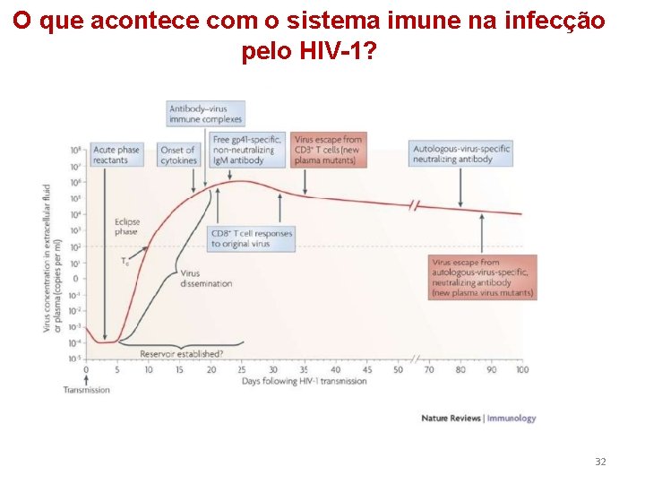 O que acontece com o sistema imune na infecção pelo HIV-1? 32 