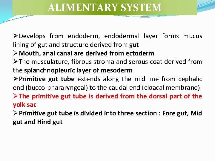 ALIMENTARY SYSTEM ØDevelops from endoderm, endodermal layer forms mucus lining of gut and structure