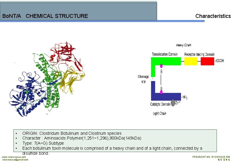 Bo. NT/A CHEMICAL STRUCTURE • • Characteristics ORIGIN: Clostridum Botulinum and Clostrium species Character
