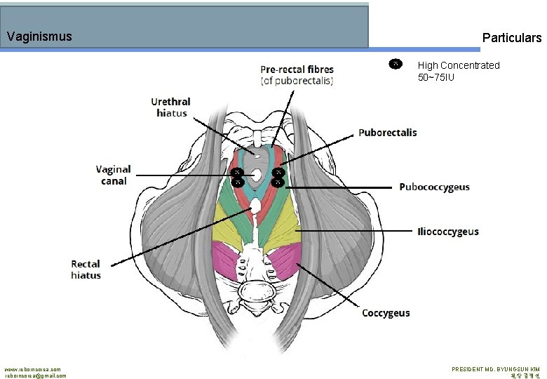 Vaginismus Particulars High Concentrated 50~75 IU www. reborncorea. com reborncorea@gmail. com PRESIDENT MD. BYUNGSUN