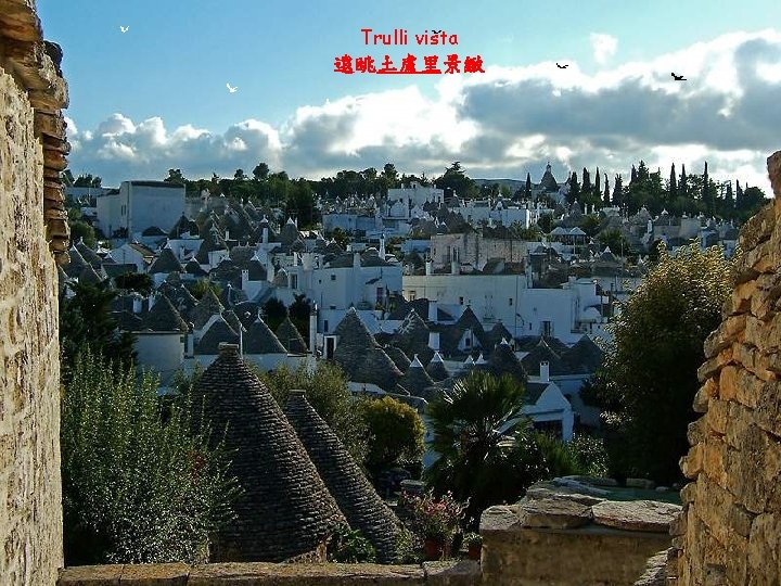 Trulli vista 遠眺土盧里景緻 