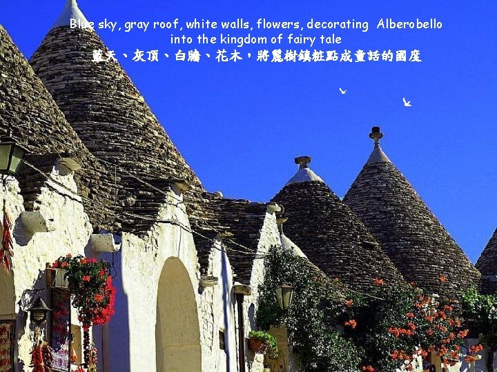 Blue sky, gray roof, white walls, flowers, decorating Alberobello into the kingdom of fairy