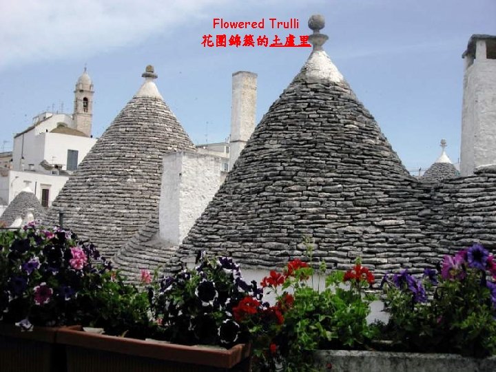 Flowered Trulli 花團錦簇的土盧里 