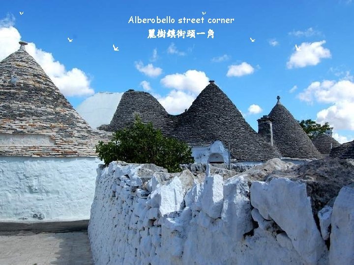 Alberobello street corner 麗樹鎮街頭一角 