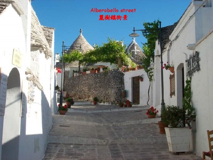 Alberobello street 麗樹鎮街景 