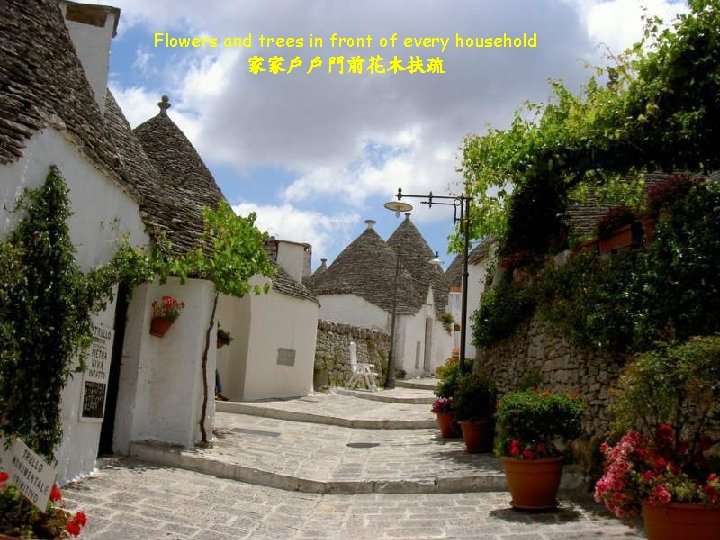 Flowers and trees in front of every household 家家戶戶門前花木扶疏 