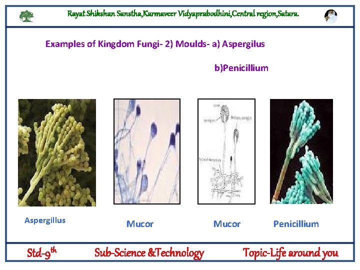 Rayat Shikshan Sanstha, Karmaveer Vidyaprabodhini, Central region, Satara. Examples of Kingdom Fungi- 2) Moulds-