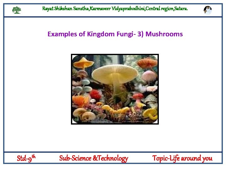 Rayat Shikshan Sanstha, Karmaveer Vidyaprabodhini, Central region, Satara. Examples of Kingdom Fungi- 3) Mushrooms