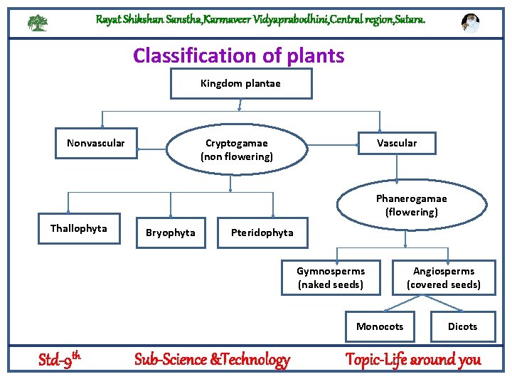 Rayat Shikshan Sanstha, Karmaveer Vidyaprabodhini, Central region, Satara. Classification of plants Kingdom plantae Cryptogamae