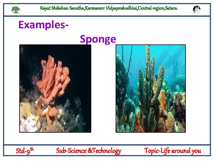 Rayat Shikshan Sanstha, Karmaveer Vidyaprabodhini, Central region, Satara. Examples- Sponge Logylogyt Std-9 th Sub-Science