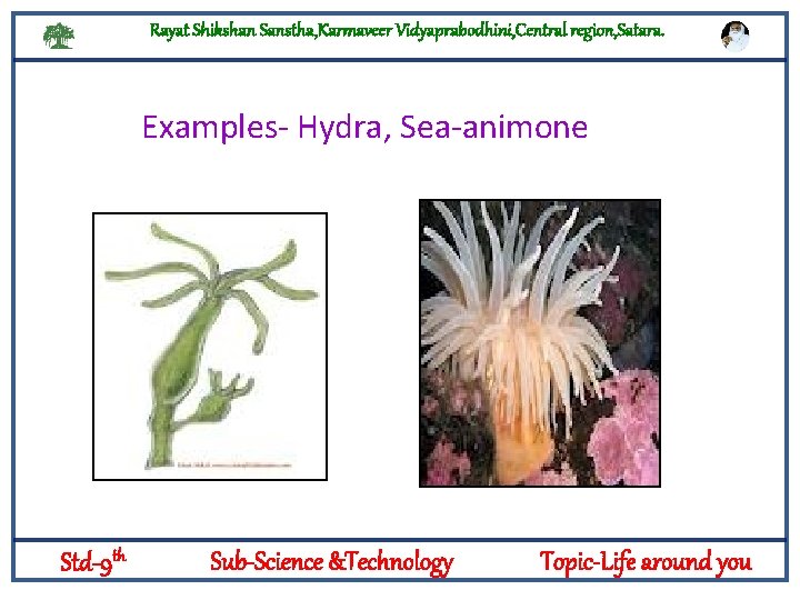 Rayat Shikshan Sanstha, Karmaveer Vidyaprabodhini, Central region, Satara. Examples- Hydra, Sea-animone Logylogyt Std-9 th