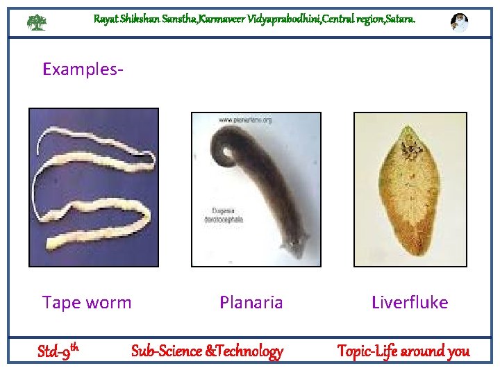 Rayat Shikshan Sanstha, Karmaveer Vidyaprabodhini, Central region, Satara. Examples- Logylogyt Tape worm Std-9 th