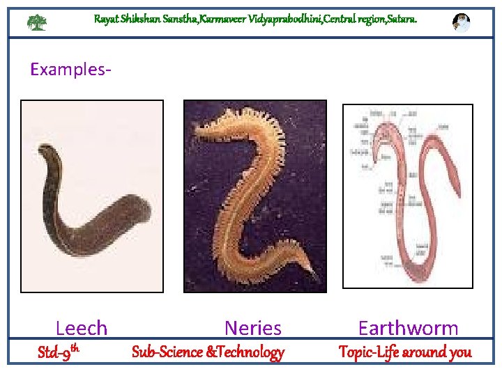Rayat Shikshan Sanstha, Karmaveer Vidyaprabodhini, Central region, Satara. Examples- Logylogyt Leech Std-9 th Neries