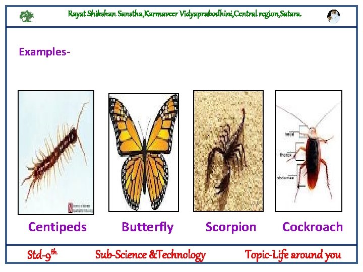 Rayat Shikshan Sanstha, Karmaveer Vidyaprabodhini, Central region, Satara. Examples- Logylogyt Centipeds Std-9 th Butterfly