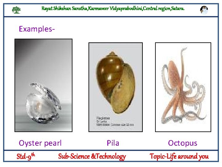 Rayat Shikshan Sanstha, Karmaveer Vidyaprabodhini, Central region, Satara. Examples- Logylogyt Oyster pearl Pila Sub-Science