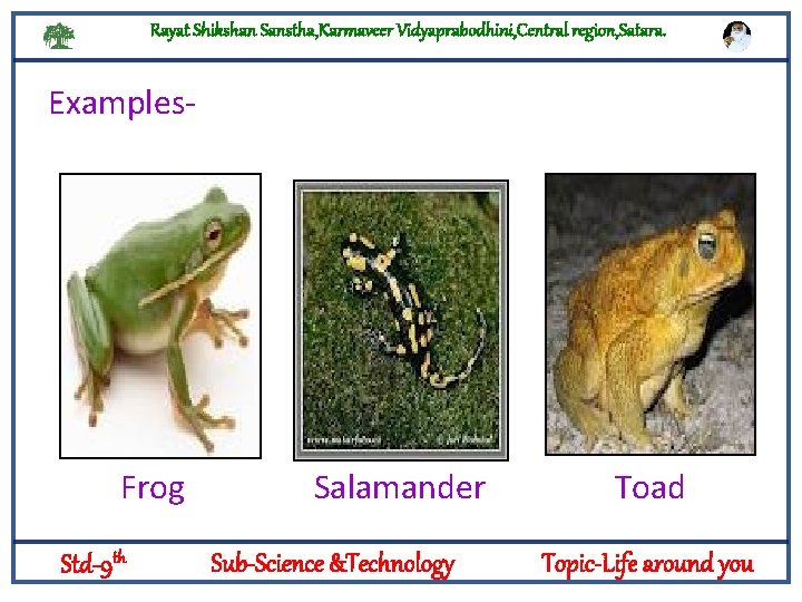 Rayat Shikshan Sanstha, Karmaveer Vidyaprabodhini, Central region, Satara. Examples- Frog Std-9 th Salamander Sub-Science