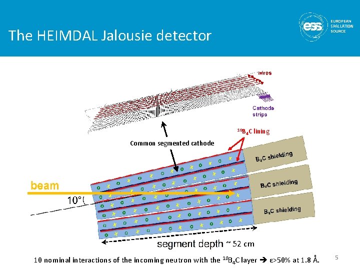 The HEIMDAL Jalousie detector 10 B 4 C lining Common segmented cathode ~ 52