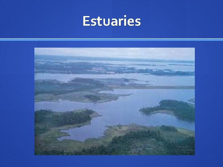 Estuaries 