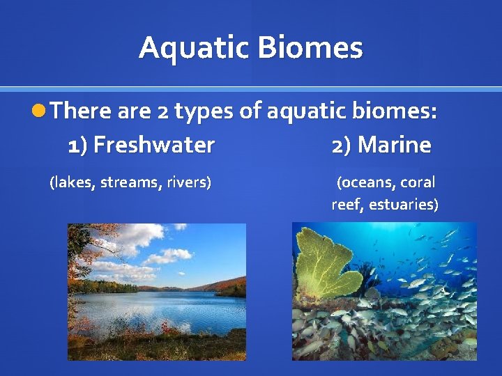 Aquatic Biomes There are 2 types of aquatic biomes: 1) Freshwater (lakes, streams, rivers)