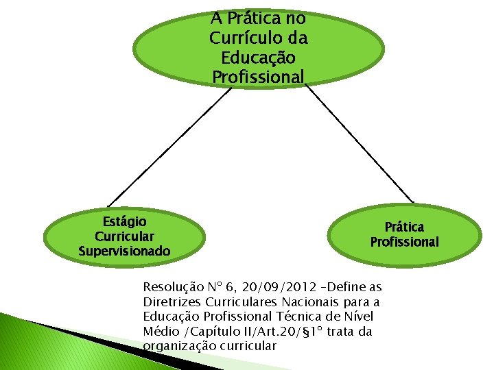 A Prática no Currículo da Educação Profissional Estágio Curricular Supervisionado Prática Profissional Resolução Nº