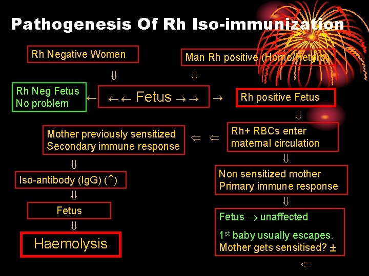 Pathogenesis Of Rh Iso-immunization Rh Negative Women Man Rh positive (Homo/Hetero) ß Rh Neg