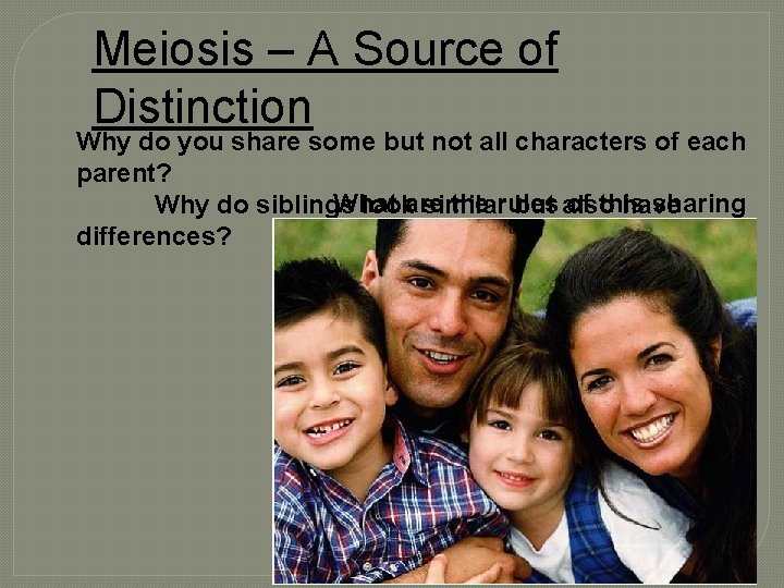Meiosis – A Source of Distinction Why do you share some but not all