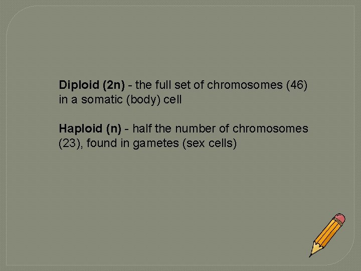 Diploid (2 n) - the full set of chromosomes (46) in a somatic (body)