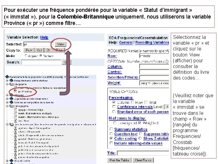 Pour exécuter une fréquence pondérée pour la variable « Statut d’immigrant » ( «