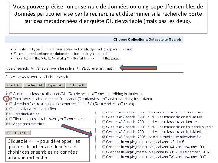 Vous pouvez préciser un ensemble de données ou un groupe d’ensembles de données particulier