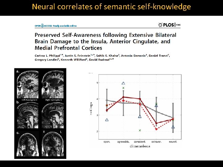 Neural correlates of semantic self‐knowledge 