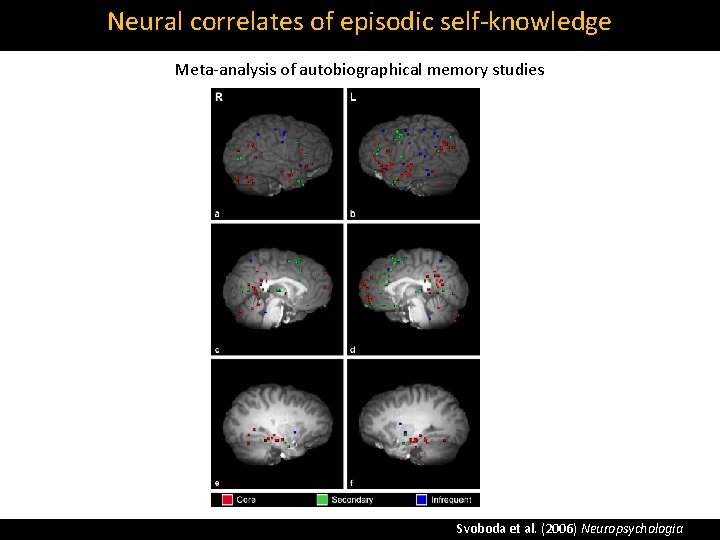 Neural correlates of episodic self‐knowledge Meta‐analysis of autobiographical memory studies Svoboda et al. (2006)