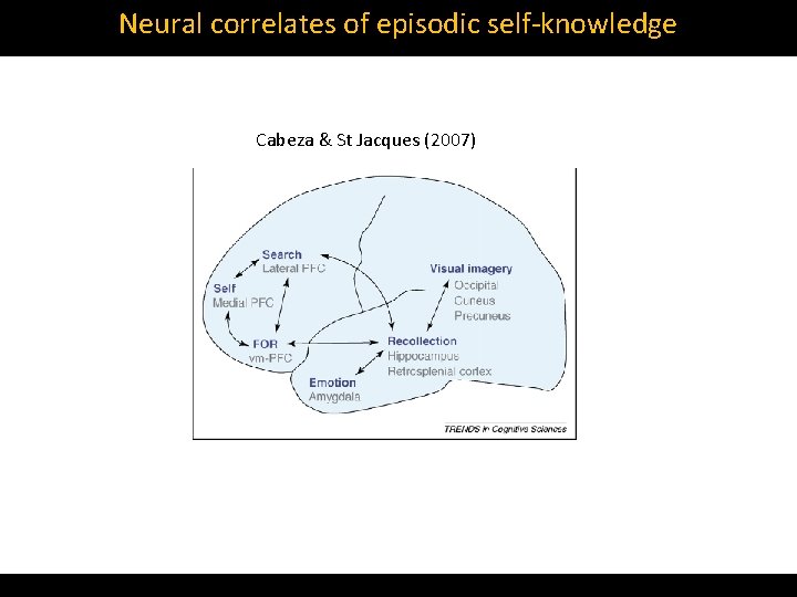Neural correlates of episodic self‐knowledge Cabeza & St Jacques (2007) 