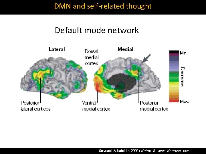 DMN and self‐related thought Default mode network Gusnard & Raichle (2001) Nature Reviews Neuroscience